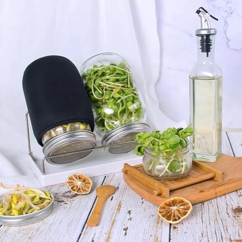 Kitmiido Organic Seed Sprouting Jar Kit – 2 × 32 oz Wide-Mouth Mason Jars - color: Stainless Steel