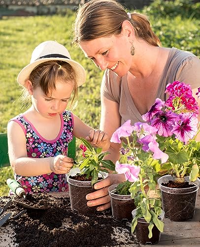 homenote 3/4/5 Inch Clear Nursery Pots with Domes for Propagation (15 Pcs) - color: Transparency-with Lid, size: 3/4/5 Inch-15 Pack