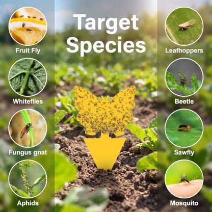 96 Pack Yellow Sticky Fungus Gnat Traps for House Indoor & Outdoor Plants - size: 96 Packs