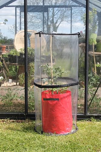 Tierra Garden 50-6070 Haxnicks Pop Up Tomato Cloche