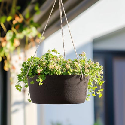 La Jolie Maison Large Hanging Planters for Outdoor Plants, Set of 2 12 Inch - color: New Iron