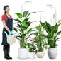 wolezek Grow Lights for Indoor Plants Full Spectrum, 80 LEDs 3 Colors - color: White 3 pack