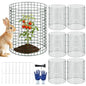 6 Pack Plant Protector from Animals, 12"x12" Metal Chicken Wire Cloche