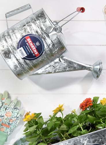 Behrens 2 Gallon Hot Dipped Steel Watering Can - size: 2 Gallon