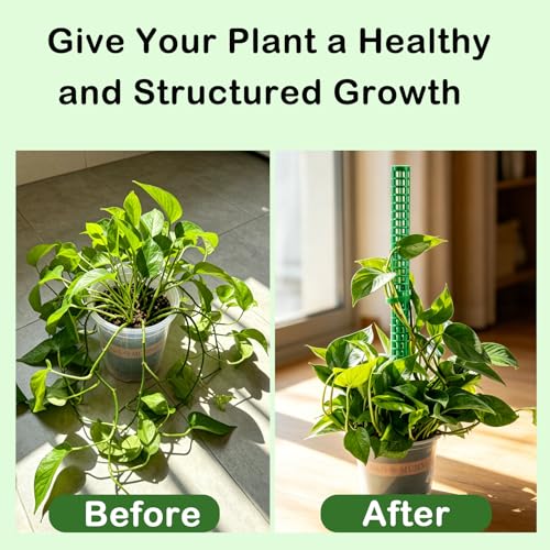 Stackable Small Moss Pole for Monstera Pothos, Fillable Support - size: 4pack,small,Green
