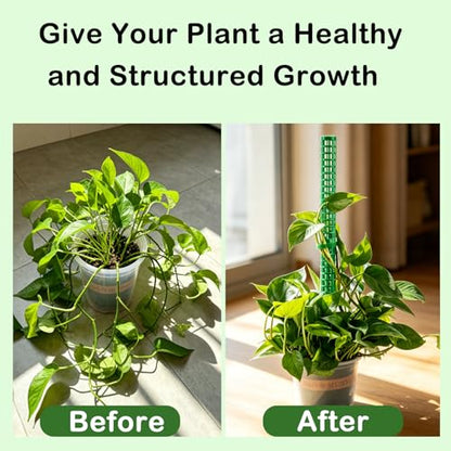 Stackable Small Moss Pole for Monstera Pothos, Fillable Support - size: 4pack,small,Green