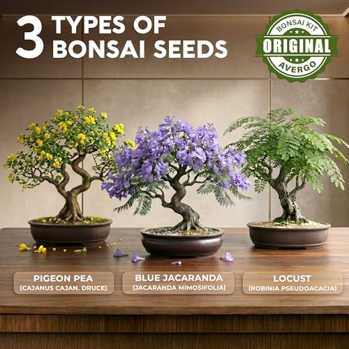 Bonsai Tree Kit Classic - Growing 3 Unique Japanese Bonzai Trees - size: Small 10"