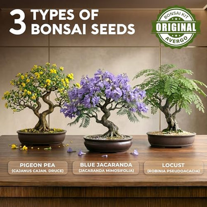 Bonsai Tree Kit Classic - Growing 3 Unique Japanese Bonzai Trees - size: Small 10"