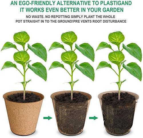 Biodegradable Peat Pots Set (60 Pots) - size: 6 Pack