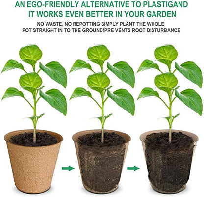 Biodegradable Peat Pots Set (60 Pots) - size: 6 Pack