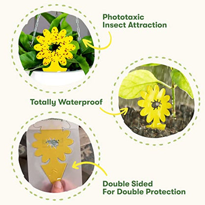 BugMD Yellow Sticky Bug Traps for Plants, 12 Pack