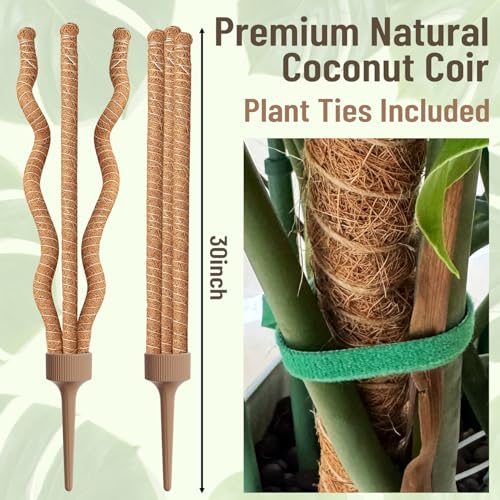 3-in-1 Moss Pole, Bendable 30IN Monstera Plant Support for Indoor-1 Pack - size: 30IN-1PACK