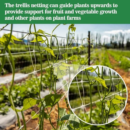 Sukh Trellis Netting for Climbing Plants - 5 x 15 ft Garden Net, 2 Pack