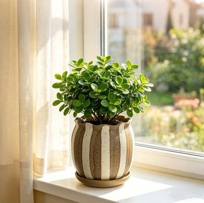 5.2 inch Stripes Ceramic Plant Pots with Drainage Hole and Tray, Brown - color: Brown