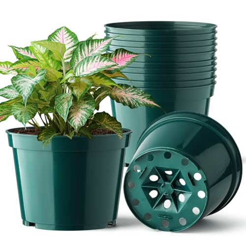 BTPLASTIK 15 Pack 6 Inch Plant Pots with Drainage Holes, Sturdy Plastic Nursery Pots for Plants, Thickened Flower Pots for Indoor Outdoor Planting Transplanting, Succulents, Seedlings, Green - color: Green, size: 6 Inch-15P