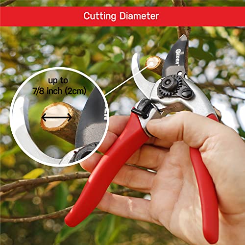 Eden 39002 Adjustable Bypass Pruning Shears, 7/8 inch cutting diameter for Stems and Branches - size: 7/8 Inch Diameter