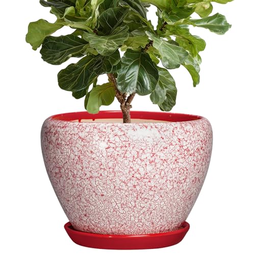 10 Inch Pots for Plants, Ceramic Planter Pots, Crackle Red - color: Crackle Red, size: 10 Inch