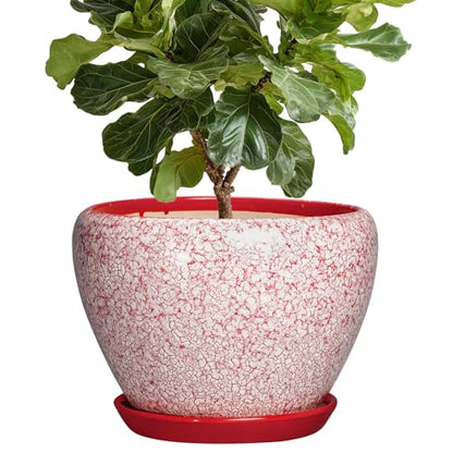 10 Inch Pots for Plants, Ceramic Planter Pots, Crackle Red - color: Crackle Red, size: 10 Inch