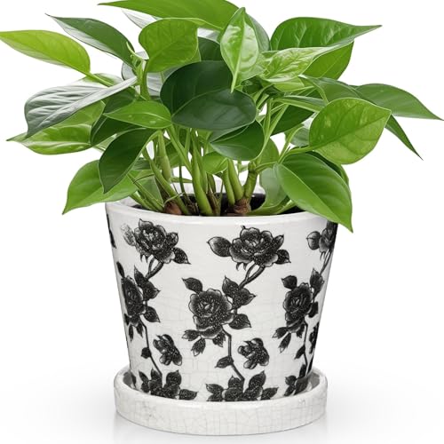Ceramic Pot for Indoor Plants - 5.5 inch Flower Pot for Plants with Drainage Holes and Saucer Ice Crack Diamond Rose Flower Pattern Ceramic Planter for Outdoor Indoor Herb Snake Plant (Black & White) - color: Black & White