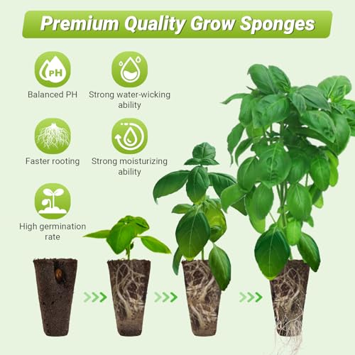50 Pack Square Seed Starter Pods for Indoor Hydroponics Growing System, 50pcs Squared Grow Sponges with 10 Square Pods Labels, Supplies Replacement Compatible with IDOO, QYO, LYKO - size: 50 Pack Square Sponges