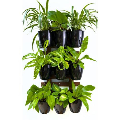 LaLaGreen Indoor Wall Planters (5in, 10 Pack) Self Watering Hanging Pots - size: 5" (12.5 cm)