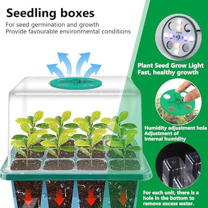 6-Pack Seed Starter Tray Kit with Grow Light