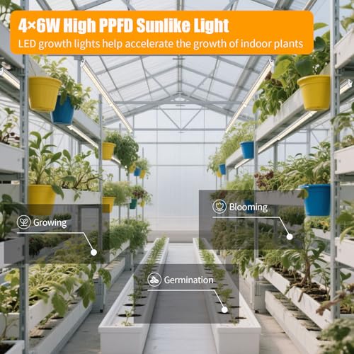 T5 1FT 0.3M 6W×4 Warm Light 3000K Grow Light Tubes,Full Spectrum LED Grow Lights,6W Energy Efficient,Plug & Play,for Hydroponics/Soil Seedlings Vegetables Herbs Flower (4 Packs) - color: Warm Light