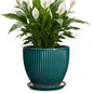 Ceramic Planter, 8 Inch Plant Pots with Saucer, Blackish Green - color: Blackish Green, size: 8 Inch