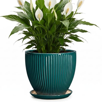 Ceramic Planter, 8 Inch Plant Pots with Saucer, Blackish Green - color: Blackish Green, size: 8 Inch