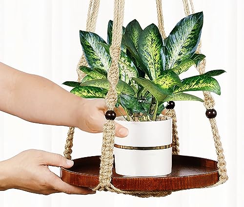 2 Pack Macrame Plant Hanger, Hanging Plant Shelf (12" + 10") - color: Brown, size: 2-Pack, 1-Tier