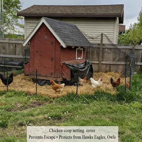 Bird Netting for Chicken Coop 15x15 FT, 1/2" Chicken Run Cover Net - size: 15x15 FT