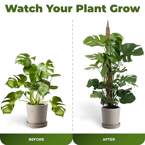 2Pcs 28'' Moss Pole Monstera Plant Support - Plant Stakes for Indoor Plants - size: 2-Pack (28 in)