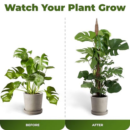 2Pcs 28'' Moss Pole Monstera Plant Support - Plant Stakes for Indoor Plants - size: 2-Pack (28 in)