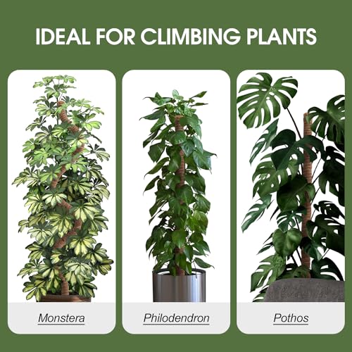 4 Pack Moss Pole 50 Inch Monstera Plant Sticks Support Tall Long Stakes - color: 50 Inch (4 Pack）