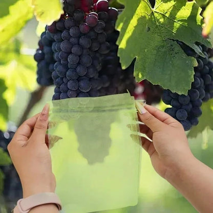 10Pcs/Set Fruit Protection Bags, Green Netting Cover Bags Drawstring Mesh Fruit Protectors Pest Barrier for Grapes Trees Veggies (Large, 20x30cm) - color: Medium