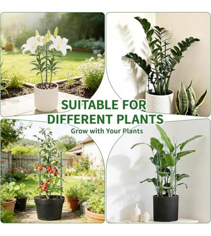 12 Pack Stackable Monstera Plant Support, Upgrade Pothos Plant Climber Support Indoor Plant Stakes with 12 Clips and Cable Ties Plant Poles for Vine Training Stem Stabilization