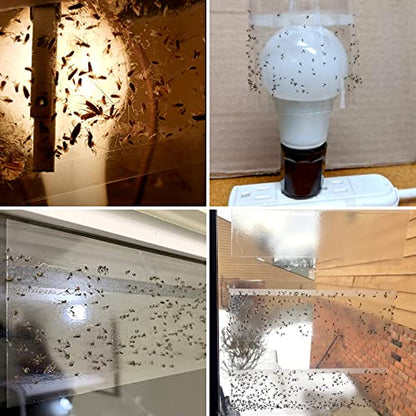 LFSYS 50 Window Fly Traps Indoor Fruit Fly Traps for Indoors