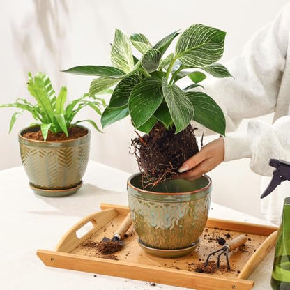 Sureasy 6.5 Inch Ceramic Plant Pots Set of 2, Green Embossed - color: Green, size: 6.5 inch