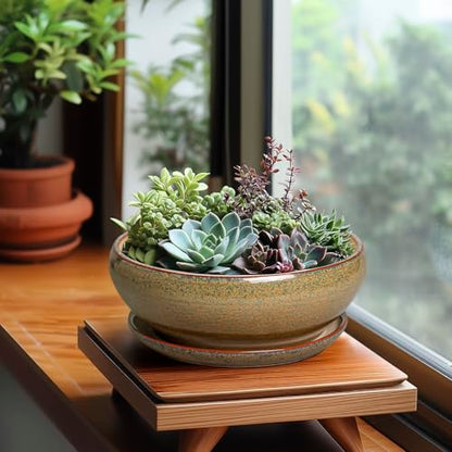 SQOWL Succulent Pots, 8 Inch Ceramic Bonsai Pots with Drainage Tray, Brown - color: Speckled-brown, size: 8 Inch