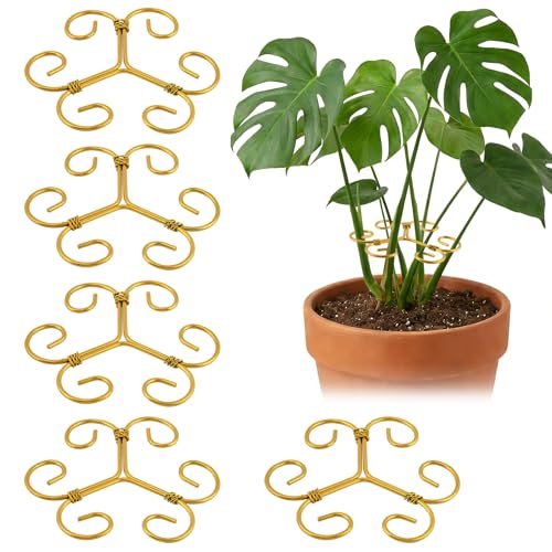 5Pcs Plant Stem Support Iron Monstera Plants Supports - color: Gold