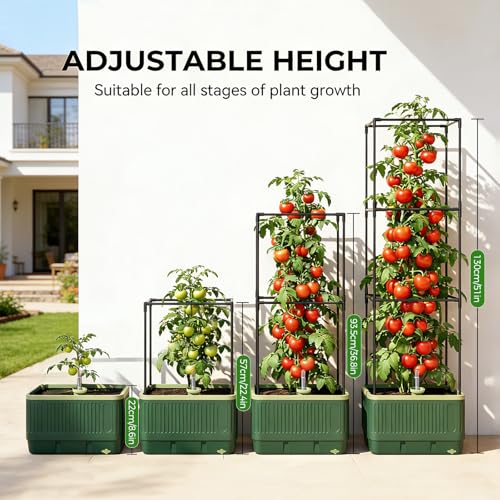 Raised Garden Bed Tomato Planter with Trellis, 52" Self Watering Tomato Planter with Water Level Indicator, Larger Rectangular Tomato Cages for Indoor & Outdoor Climbing Vegetable and Plants (1)