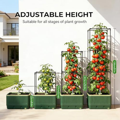 Raised Garden Bed Tomato Planter with Trellis, 52" Self Watering Tomato Planter with Water Level Indicator, Larger Rectangular Tomato Cages for Indoor & Outdoor Climbing Vegetable and Plants (1)