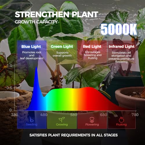 Barrina LP750 Indoor Greenhouse with Grow Light, 4 Tier Stand with Tent - color: 5000K, size: LP750-H59.1
