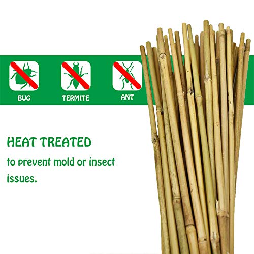 Mininfa Natural Bamboo Stakes 4 Feet, Eco-Friendly Garden Stakes, Plant Stakes Supports Climbing for Tomatoes, Trees, Beans, 25 Pack