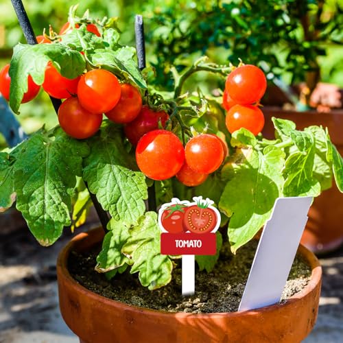 60pcs Vegetable Plant Label Signs Waterproof Fruit Plant Tag