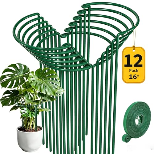 AMAGABELI GARDEN & HOME 12 Pack Peony Cage Plant Support Stakes 10" W x 16" H Heavy Duty Ring Metal Garden Support Structures Plant Cage with Ties for Indoor Flower Outdoor Tomato Hydrangea Monstera - color: 12-Pack, size: 10" W x 16" H