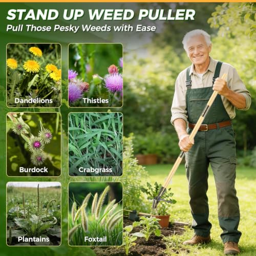 Weed Puller Tool, Stand Up Heavy Duty Weed Remover Tool with Long Handle – 4-Claw Steel Head Weeder for Dandelions, Bamboo Garden Hand Weeding Tool, No Kneeling for Easy Root Removal - color: Light brown