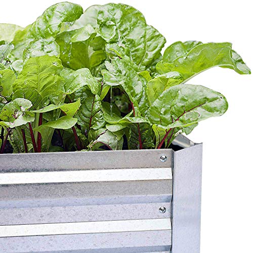 Galvanized Raised Garden Bed 6x3x1ft 2-Pack - size: 6x3x1ft (2 pcs)