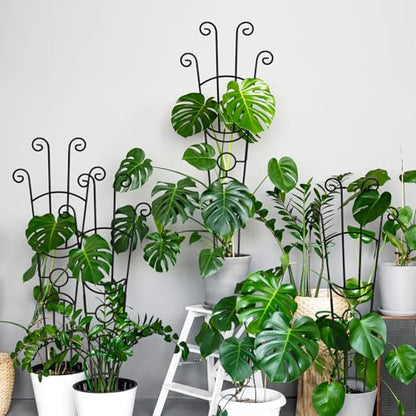 Coomin 32.6in Monstera Plant Support Trellis for Indoor Plants, 2P - size: 32in,rectangular/2p