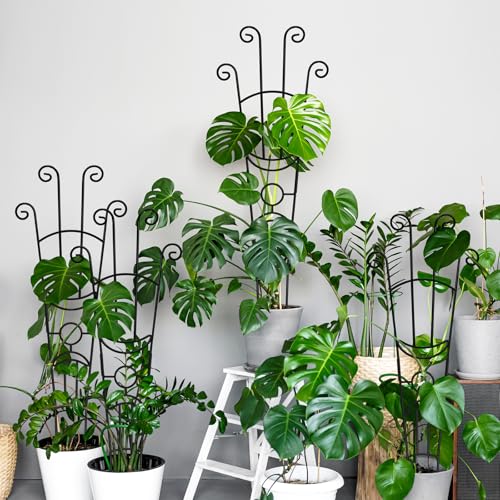 Coomin 32.6in Monstera Plant Support Trellis for Indoor Plants, 4P - size: 32in,rectangular/4p